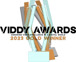 Viddy Awards Gold award logo