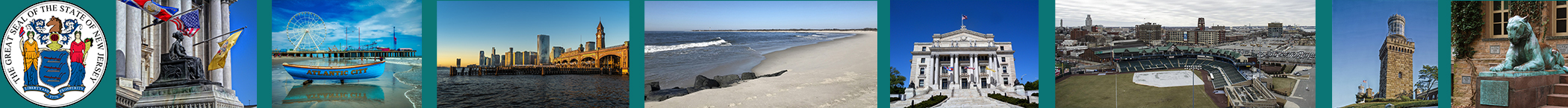 a teal line divider